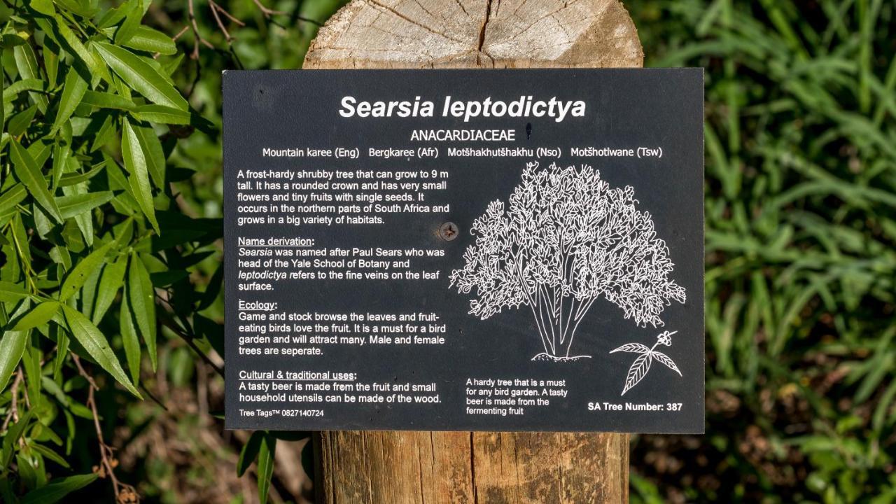 Iketla Lodge Ohrigstad Екстериор снимка